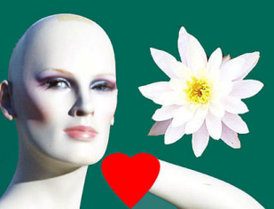 mannican heartmodelflower.jpg